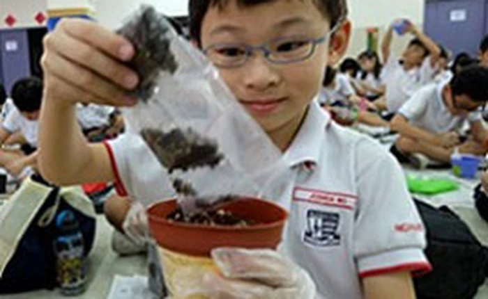 Chứng minh điểm số kém không quyết định thành công - trào lưu đang bùng nổ tại Singapore