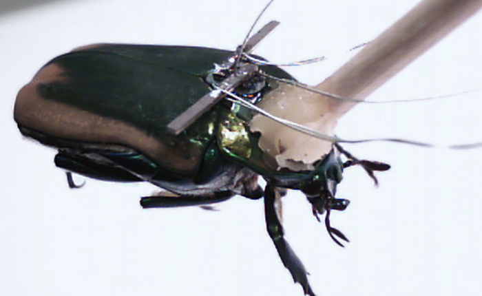 Google đã có cách giúp người mù cũng dùng được điện thoại cảm ứng