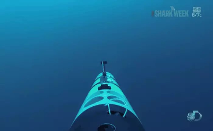 [Video] cá mập đói tưởng drone dưới nước là con mồi