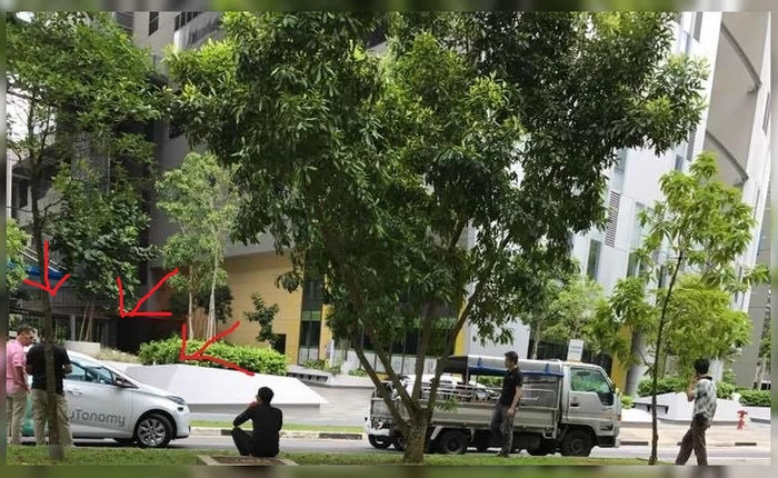 Taxi tự lái tại Singapore gặp tai nạn, tài xế taxi bày tỏ sự hả hê trên Facebook