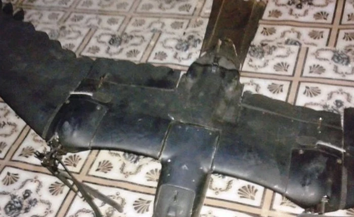 Drone do thám giống hệt chim bị bắn hạ