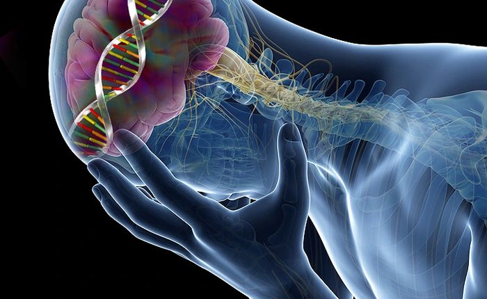 Nhà khoa học cảnh báo chỉnh sửa gen để ngăn cản ung thư cũng là tuyệt diệt thiên tài từ trong trứng nước