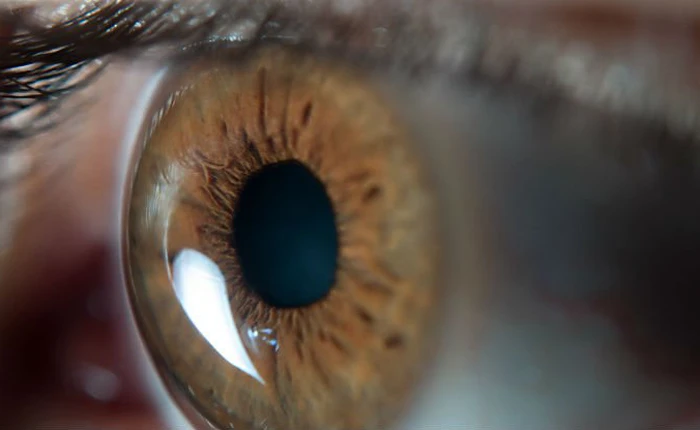 Có thể chữa bệnh mù bằng tế bào gốc nhưng khoa học chưa thể giải thích vì sao lại như vậy