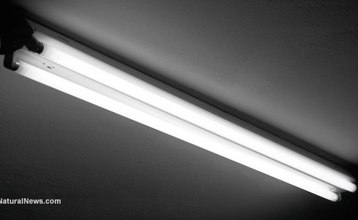 Nguy cơ béo phì và ung thư lại đến từ bóng đèn điện ban đêm