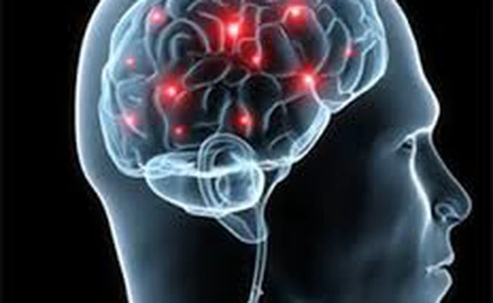 Một lỗi phần mềm nhỏ có thể khiến 15 năm công sức nghiên cứu của các nhà khoa học đổ xuống sông xuống biển