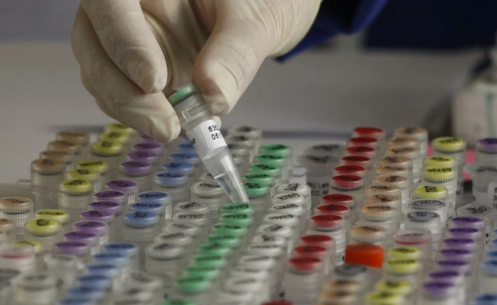 Năm 2020, công nghệ sẽ thay thế sex để trở thành phương pháp tạo ra con người chủ yếu