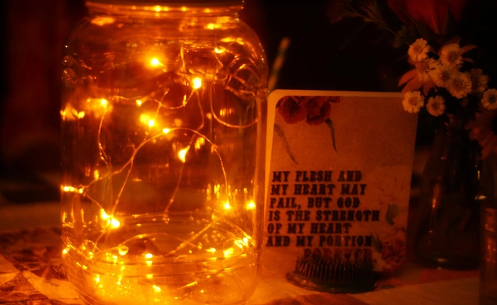 Tương lai của đèn LED sắp sang trang sử mới nhờ học tập đom đóm