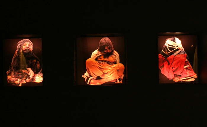 Vi khuẩn kháng kháng sinh được phát hiện trong đường ruột của xác ướp 1.000 năm tuổi