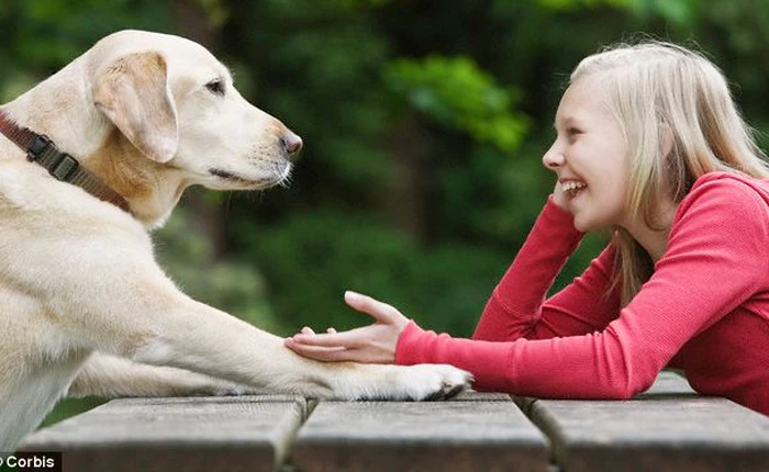 Sắp có công nghệ giúp bạn nói chuyện với chó