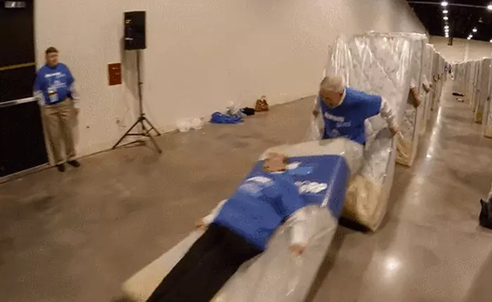 Xem màn trình diễn domino với 1.200 người lập kỷ lục thế giới