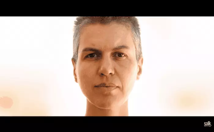 Các nhà khoa học có thể làm cho chuột "trẻ mãi không già", dự kiến 10 năm nữa có thể thử nghiệm trên con người