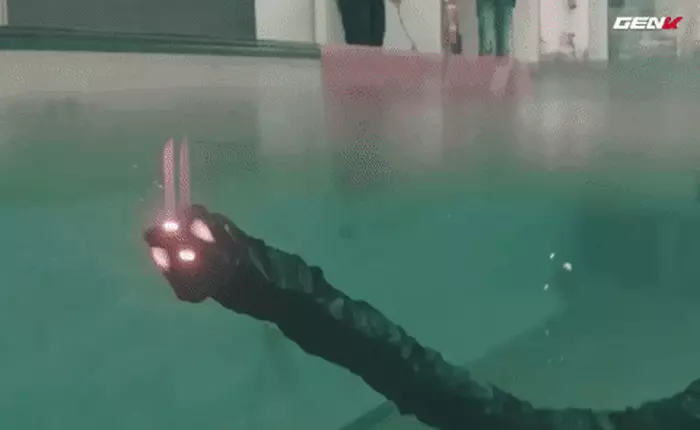 [Video] Không phải quái vật, đây thực chất là trợ thủ đắc lực cho mọi công trình dưới đáy biển