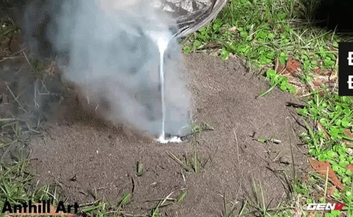 [Video] Thử đổ kim loại nóng chảy vào tổ kiến và cái kết bất ngờ