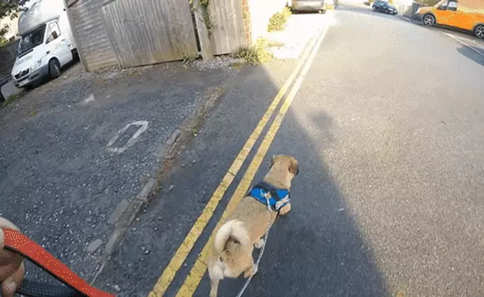 Không phải nhảy dù, chẳng phải đua xe, đây mới là chuyện mà người dùng GoPro thường quay lại