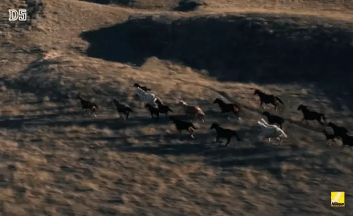 Sau khả năng chụp siêu tốc, Nikon lại khoe sức mạnh quay 4K của D5