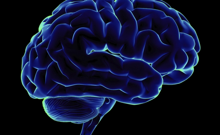 Chúng ta sẽ tự phát triển "giác quan thứ 6" nhờ sự tiến bộ của công nghệ