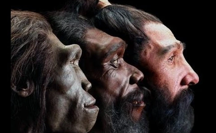 Hóa ra người lớn vốn không thể "uống tranh sữa của trẻ em" nếu không có đột biến