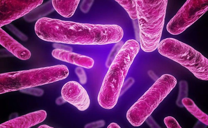 Mark Zuckerberg chi 3 tỷ USD tìm thuốc giải mọi loại bệnh trên đời