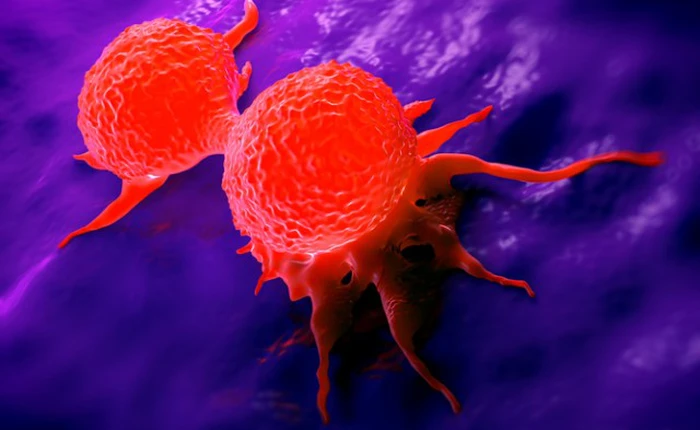 Nhật ký giải mã bí mật của 200 căn bệnh ung thư nhờ toán học tại Anh