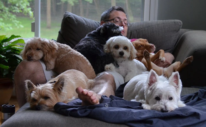 9 lý do bạn nên nuôi chó ngay bây giờ