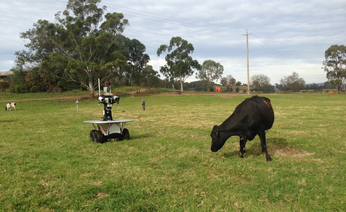 Nông dân chăn bò sẽ lo ngại bị con robot này cướp mất việc