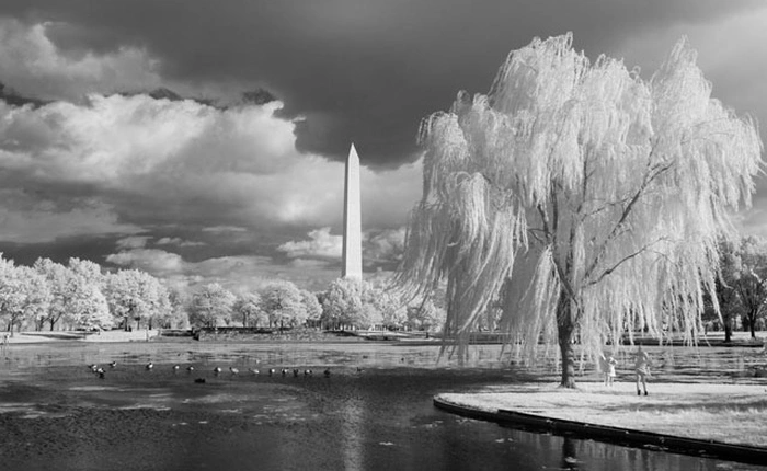 Đổi gió với bộ ảnh chụp hồng ngoại: như lạc vào thế giới khác