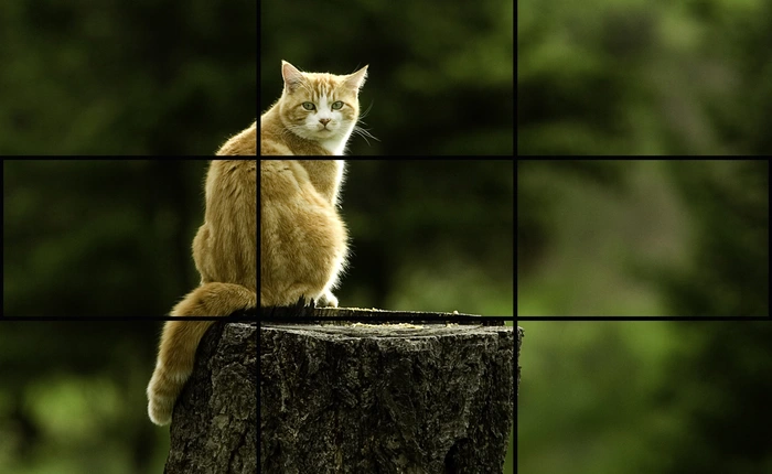 Muốn chụp đẹp, hãy tự hỏi mình 8 câu này trước khi nhấc máy