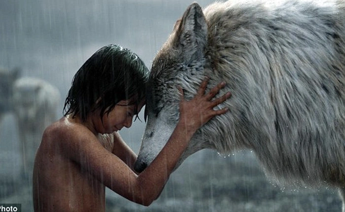Phim Jungle Book tuyệt hay, nhưng thực sự thì động vật có thể nuôi nấng con người khôn lớn không?
