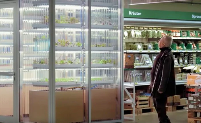 Để diệt trừ thực phẩm bẩn, người Đức đã có một phát kiến quá sức tuyệt vời