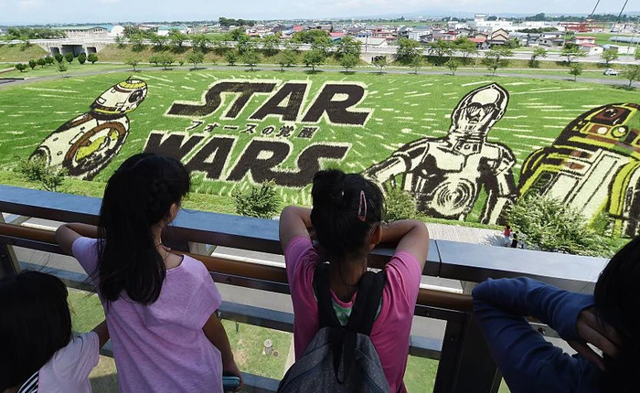 Người Nhật có khả năng sáng tạo rất cao, ngay cả đồng lúa cũng phải là một nơi để triển lãm nghệ thuật