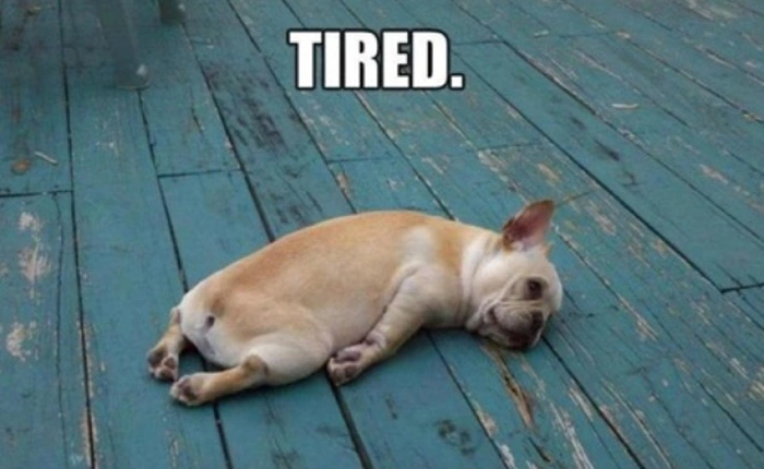 Bài viết này dành riêng cho những ai đã và đang cảm thấy chán đời