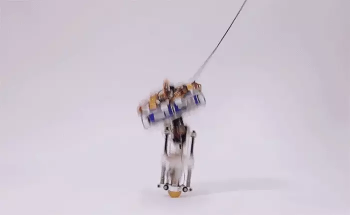 Disney hết tạo ra robot leo tường như thạch sùng giờ đây lại chế tạo robot một chân "nhảy lò cò"