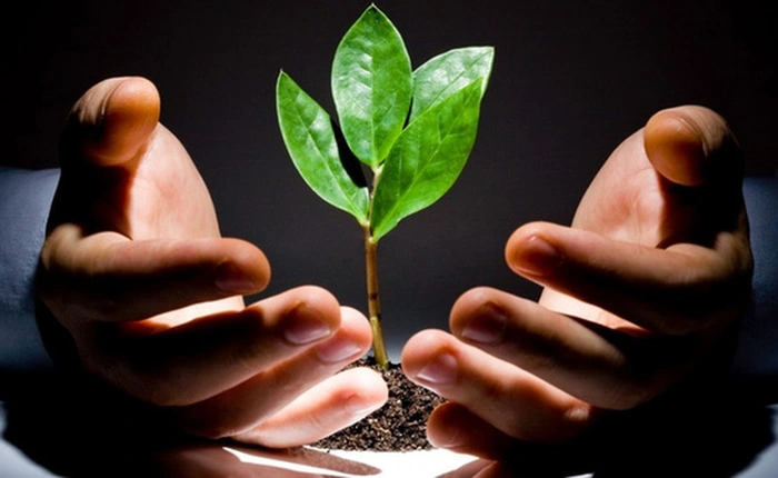 Làm thế nào để biến đam mê thành khởi nghiệp? 8 gạch đầu dòng này sẽ cho bạn câu trả lời chính xác nhất!