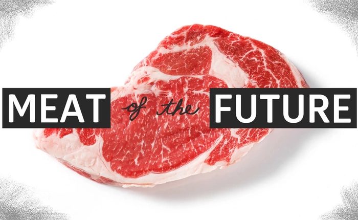 Sắp có thể tạo ra một loại thịt "made-in phòng thí nghiệm" mà không cần giết mổ động vật sống