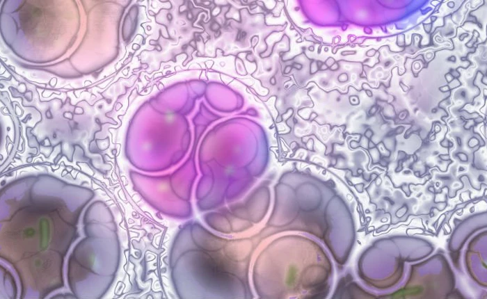 Nghiên cứu thành công phương pháp mới để ngăn chặn bệnh ung thư máu