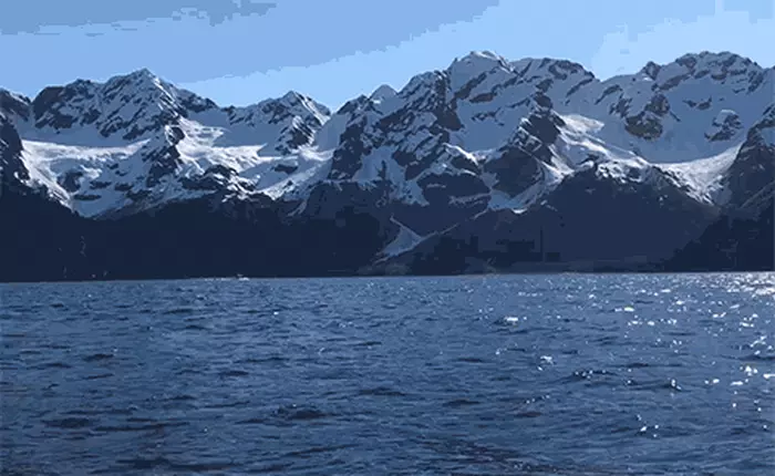 Google ra ứng dụng mới, giúp Live Photo của iOS thực sự hoàn thiện hơn bao giờ hết