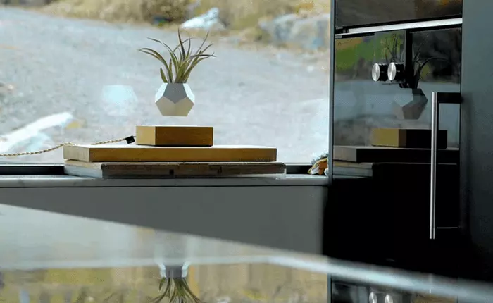 Ai bảo cây thì phải cắm rễ dưới đất? Dự án này cho cây của bạn "múa ba lê" giữa không trung