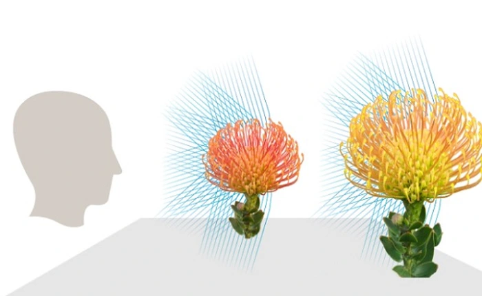 Lytro không quan tâm Nikon, Canon hay thị trường máy ảnh di động, chỉ tập trung vào "thực tế ảo"