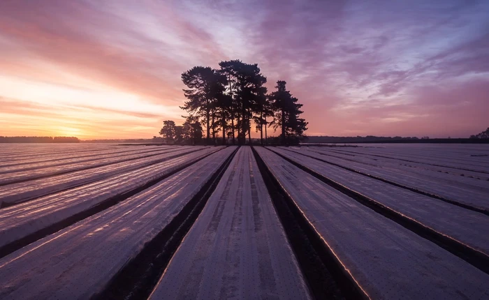 More Than An Image: bộ 3 phim ngắn sẽ cho bạn một cái nhìn “đầy quyền năng” của nhiếp ảnh