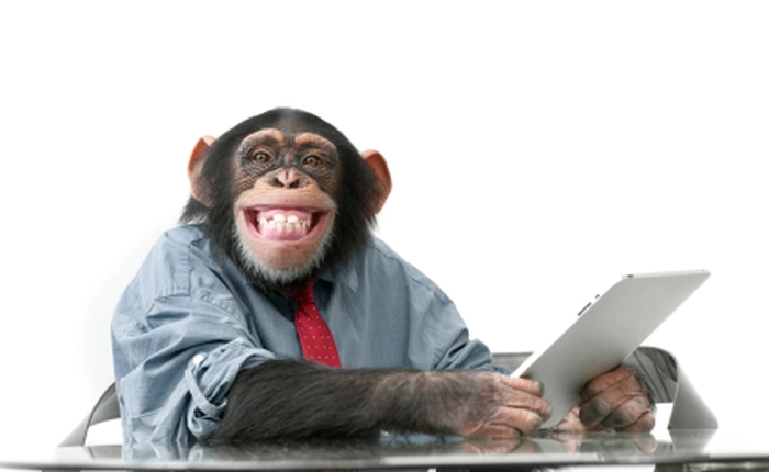 Xem video khỉ bố dạy con sử dụng tablet đang gây sốt mạng xã hội