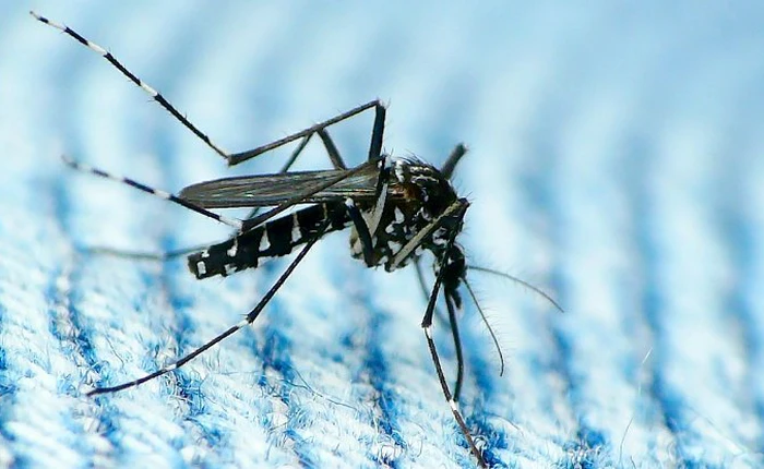 Phát hiện trường hợp lây nhiễm Zika qua đường tình dục đầu tiên tại Mỹ