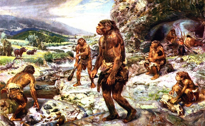 10.000 năm trước, con người biết cách nấu chín đồ ăn và điều đó đã giúp chúng ta tiến hóa cao hơn bất cứ loài động vật nào khác