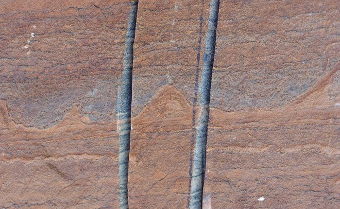 Tìm thấy mẫu hóa thạch cổ có tuổi đời lên tới 3,7 tỷ năm