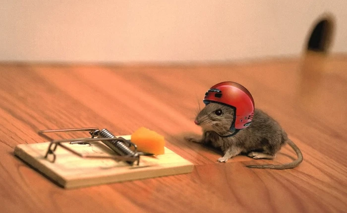 Tự làm chiếc bẫy chuột đơn giản và...nhân đạo