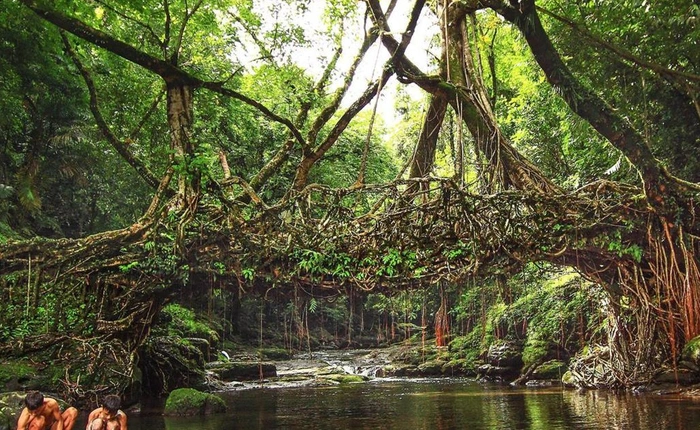 Ở nơi xa xôi này tồn tại một loại cầu thiên nhiên độc nhất vô nhị không nơi đâu có trên thế giới