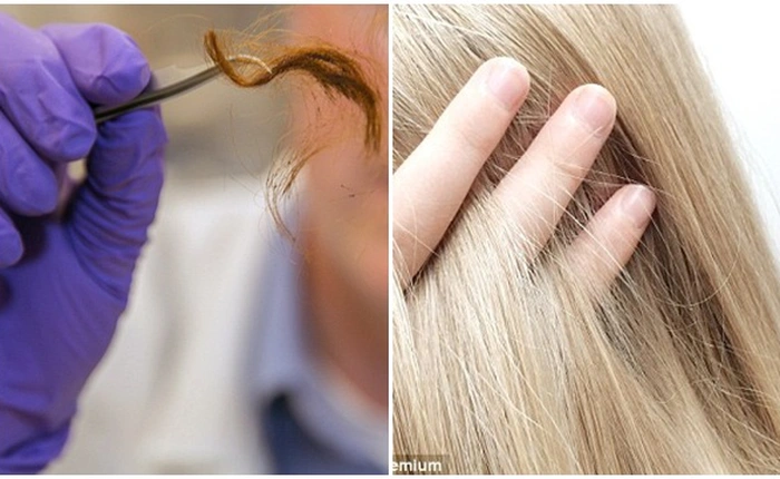 Sắp tới, cảnh sát có thể bắt được tội phạm chỉ bằng một sợi tóc