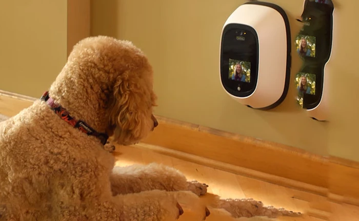 Cuối cùng những người yêu thú vật cũng có thể "chat" với "cục cưng" của mình khi đi xa