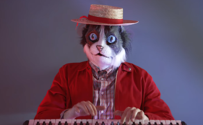 Microsoft: “MacBook thật hữu ích, giống như cho chú mèo nhà bạn đội mũ”