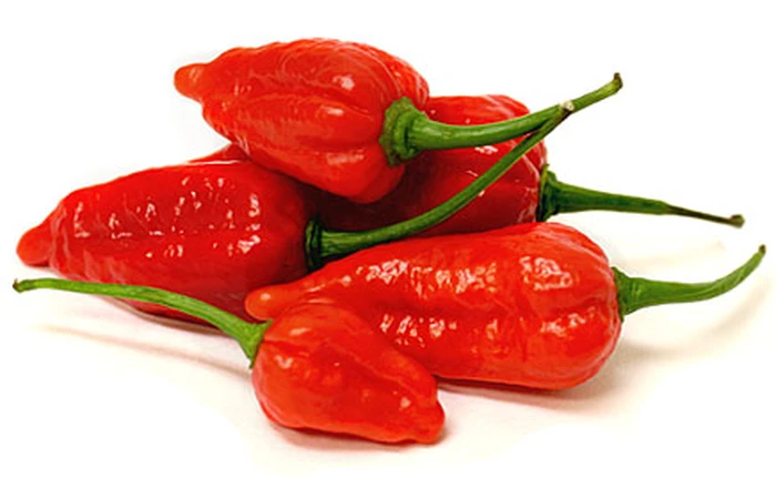 Anh chàng xấu số này bị rách thực quản sau khi thử ăn loại ớt cay nhất thế giới