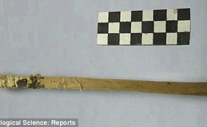 Trước khi có giấy vệ sinh, người ta đã dùng cái gì để chùi?